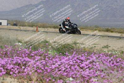 media/Feb-04-2023-SoCal Trackdays (Sat) [[8a776bf2c3]]/Turn 15 Inside Blooming (1050am)/